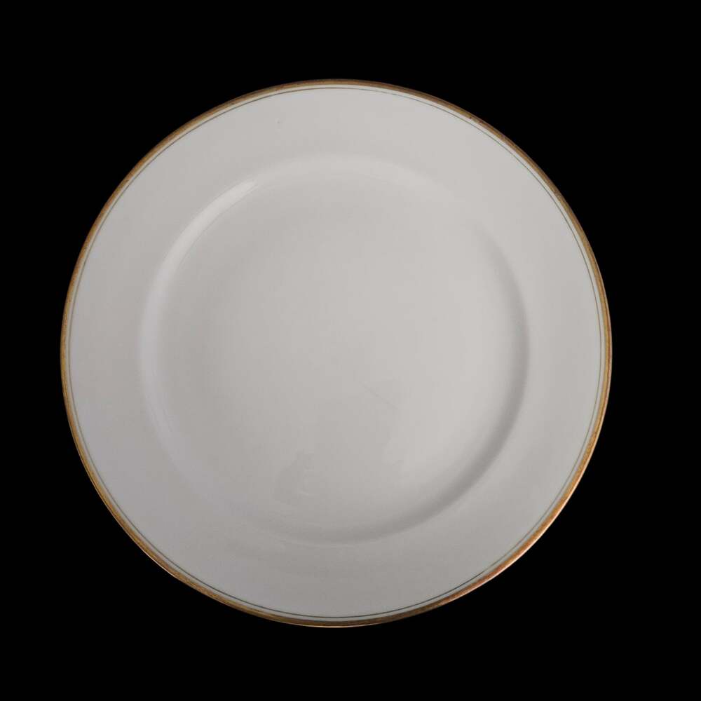 Meito China Japan White Gold Trim Dinner Plates Set of 2 Hand Painted